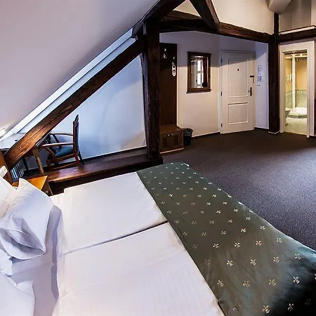 Hotel Dvorak